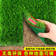 Qingya thermal insulation silencer mat simulated turf anti-drip silent artifact soundproof canopy balcony decoration roof 3cm encrypted silencer grass (1 meter wide * 1 meter long)