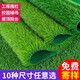 Lezijun simulated lawn, artificial turf, artificial fake lawn carpet, simulated plastic lawn mat, outdoor 2cm green net 2*4