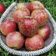 Interesting Taste of Sichuan Daliangshan Yanyuan Chou Apple Fruit Diameter 75+mm Net Weight 8Jin Jin is equal to 0.5kg No. 1 Member Store Straight from the source
