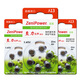 XIWANTUO Ayudador de audífonos Batería Original Botón Electrónico A13A10A312A675 Accesorios de sonido largo hasta el límite LIMIT Long Long A312 [1 Tablero 6 piezas]