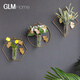 Wall decoration pendant wall hydroponic vase wall hanging creative restaurant wall wall decoration pendant home living room back 15-piece luxury set worry-free matching