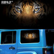 Cangsu is suitable for 21-23 tank 300 car body pull pattern personalized stickers color strip car stickers Wrangler window decoration stickers model four tiger
