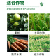 Gramine 6% kasugamycin fungicide, rice blast disease, wildfire canker, gummosis pesticide