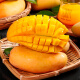 Beijing Fresh Hainan Jinhuang Mango 4.5 Jin [Jin is equal to 0.5 kg] single fruit 200g starts from the source of tropical fruits
