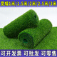 Qingya lawn simulation carpet artificial fake turf outdoor bedding kindergarten green artificial floor mat plastic grass decoration 3cm encrypted version (2m wide x 1m long)
