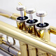 
Xinghai trumpet, B-flat brass tube Western musical instrument, beginners' entrance examination performance instrument, B-flat XT-160