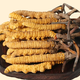 Beijing Tongrentang Quality Cordyceps Lhasa Shipping Authentic Cordyceps Gift Box Pack Broken Cordyceps Dry Garlic Gift Gift Boxes Gifts to Leader Optional Gift Box 30g Selected Big Broken Cordyceps [Preferred to soak in wine]