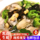 Shuhuang Rushan Oysters Fresh Large Seafood New Year Products 5Jin Jin is equal to 0.5kg, net weight 5XL (8-12 pcs), only shipped directly from the source, free shipping
