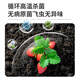 Manlife strawberry soil 15L special nutritional soil flower soil vegetable soil green plant fruit and vegetable organic planting soil balcony potting soil