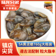 Lulong drunk mud snail 5A yellow mud snail 760g, big fat, ready to eat, Ningbo time-honored brand, special seafood and aquatic products