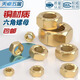Tianzhuo Hardware national standard pure brass nut full copper hexagonal nut screw cap M1M2M3M4M5M6M8M10M12M16M20mm M6 30 pieces
