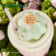 Starbucks Succulent Garden pink ceramic straw cup (with lid) 415ml high-looking water cup children's birthday gift