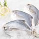 Chilled white pomfret 400g (pack of 4)