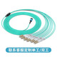胜为光纤跳线MPO-LC12芯 30米 网线多模OM4万兆40G光模块集束光纤 MPO-LC/12芯  胜为 光纤跳线 MPO-LC MPO-LC/12芯 3米 FMPL-1203