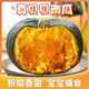 Jingxijia Authentic Beibei Pumpkin Baby Food Supplement Fresh Vegetables Fresh Breakfast Weight Loss Fat Reduction JD Logistics Chestnut Flavored Pumpkin 2Jin Jin equals 0.5kg with box