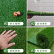 Engineering fence lawn cloth artificial simulated fake turf paving green mesh plastic carpet outdoor decoration green wall 2.0 mesh extra dense adhesive three-color grass 2 meters x 25 meters