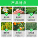 Plant growth regulator 28 epibrassinolide plant growth regulator for wheat, soybeans, vegetables and fruit trees to promote differentiation, rooting and seedling strengthening agent 28 epibrassinolide 10ml*20 bags