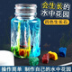 Shiyan Liangpin Children's Experimental Water Garden DIY Chemistry Primary School Students Scientifically Made Silicate Nano-Grown Stone Magic Stone Toy Water Garden (1 Set) with Instructions