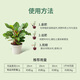 Shikefeng Flower Fertilizer Nitrogen, Phosphorus and Potassium Compound Fertilizer Universal Vegetable Flower Blooming Three-Year Agricultural Slow Release Organic Potted Household