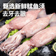 Beihai Bay Squid Tentacles Fresh Frozen Squid Freshly Cut Two Full Teppanyaki Squid Octopus Seafood BBQ Ingredients 6A Grade Strictly Selected Quality 6Jin Jin is equal to 0.5kg (net weight) (teeth and eyes removed)
