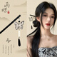 Milk-flavored blue 2024 new Chinese style hairpin sandalwood tassel hairpin high-end headwear retro Hanfu hairpin 8# Fu
