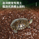 Shangyang Climbing Pet Coconut Soil Hermit Crab Coconut Soil Turtle Moisturizing Mat Horned Frog Mud Snail Soil Spider Gecko Moss Coconut Soil 5L