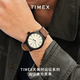 Timex Timex expedition series luminous waterproof sports quartz European and American watch men's watch birthday gift T49963