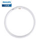 Philips (PHILIPS) T5 ring tube three primary color round tube ceiling light wick fluorescent lamp diameter 245*16mm T5 ring tube 32W white light