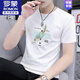 ROMON 2025 summer new men's round neck printed short-sleeved T-shirt trendy slim half-sleeved ice silk top men's T-shirt S2531 white L 115-130Jin Jin equals 0.5 kg
