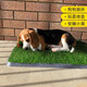 Qingya pet lawn toilet special fake turf household balcony simulation bedding dog pee artificial carpet floor mat 4cm special thick new upgraded green bottom 1 meter wide 1 meter long