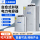 Shanghai Viscon self-healing parallel compensation power capacitor 20 total compensation 25Kvar BSMJ0.4-60-3
