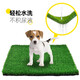 Qingya Artificial Turf Pet Toilet Mat Artificial Carpet Mat Fake Turf Balcony Simulation Decoration Dog Cat Urination 4cm Special Thick New Upgraded Green Base 1 Meter Width 1 Meter Long