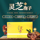 金贵灵芝孢子粉1g*100袋独立包装取食方便礼盒装送礼 灵芝孢子粉小包装冲水 1盒装】金贵灵芝孢子粉1g*100袋