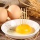 Fresh free-range eggs, single 50g, plus or minus 5g, grain-fed eggs, fresh eggs, soft-boiled eggs, fresh vegetables for breakfast, 10 pieces, 50g/piece Fresh free-range eggs, single 50g, plus or minus 5g, grain-fed eggs, fresh eggs, soft-boiled eggs, fresh vegetables for breakfast, 10 pieces, 50g/piece