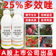 25% paclobutrazol plant growth regulator, growth-controlling drug, shoot-promoting flower dwarfing agent, dwarfing agent 1000 grams of paclobutrazol (upgraded version)