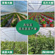 Greenhouse film thickened high transmittance anti-fog po film national standard greenhouse drip-free film agricultural planting and breeding vegetable insulation film national standard 12s thickened high-transmittance anti-fog po film 2 meters wide and 3 meters long