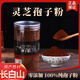 Changbai Mountain Organic Selenium-rich Toudao Ganoderma Spore Powder Self-produced and Self-sold Spore Powder Authentic Quality Limited Time Sale 500g Crushed Changbai Mountain Ganoderma Spore Powder
