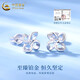 China Gold (CHINA GOLD) Lucky Four Leaf Clover Earrings for Women PT950 Platinum Earrings Platinum Earrings for Women Wedding and Birthday Gifts for Girlfriends Lucky Four Leaf Clover Platinum Earrings About 1.9g
