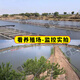 Ravish 4g monitor wireless camera without connection with wifi for life free traffic room outdoor waterproof high definition rural household commercial 360 degree panoramic view without blind spots with night vision tracking [4G dual-screen version] free charge traffic + see the license plate clearly [Home use] get 64G high-speed card