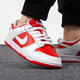 耐克（NIKE）官方男鞋 冬季新款运动鞋Dunk Low Retro复古时尚低帮轻便休闲鞋 DD1391-600/ 41