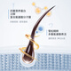 Shampooing FicCecode Cedar Shampooing 300ml Shampooing Dous et moelleux Shampooing Soft and Glossy SHAMPOINE IMPORTÉ en Australie