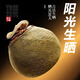 佰儒茶叶礼盒年货礼品 小青柑普洱茶 新会小柑橘茶陈皮柑普熟茶500g