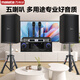 Malata audio set home KTV audio shop stage training room dance studio Bluetooth amplifier microphone speaker 12-inch five-unit audio pair