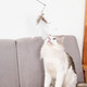 Forest Bird Cat Toy Cat Teasing Stick for Lazy People Automatic Cat Teasing with Bell Feather Suction Cup Cat Self-Happiness and Relief from Boredom White Set Upgraded Powerful Suction Cup