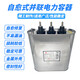 容BKMJ RHBK 30KVAR功 并联补偿电力电容器385A顺德450V 450V 20KVAR