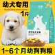 Universal Labrador puppy dog food for 0-6 months, small, medium and large dogs, Golden Retriever, Teddy Bichon, nutritional combination, stomach protection, calcium supplement, meat floss dog food 500g (1Jin Jin is equal to 0.5kg)