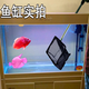 Fisherman fish tank fish pond fishing net net bag copy net ornamental fish telescopic fishing net fishing leaf brush moss net copy net pool 20*18cm fishing net 1 meter pole retractable