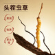Ayishe Cordyceps sinensis extra large Cordyceps sinensis 100 grams of Broken Grass nourishing and self-use supplements for parents and gifts to elders