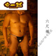 Weizhi Koala Bear convenience store Japanese style bear claw underwear men's thong six-foot sexy crotch cloth strong bear fat bear white bear character XL (180Jin Jin equals 0.5kg -230Jin Jin equals 0.5kg)