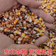 New pigeon food nutrition contains corn 10kg bird food homing pigeon white adult young pigeon ornamental pigeon food without corn pigeon food 3Jin Jin is equal to 0.5 kg
